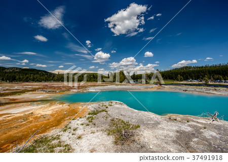 Hot thermal spring in Yellowstone Hot thermal spring in Yellowstone 37491918
