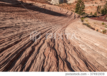 Landscape in Zion National Park 37491939