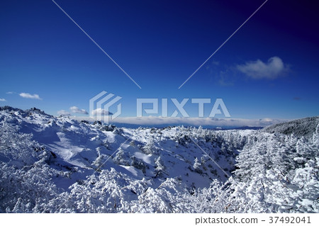 The back garden of Tengu (shooting location: Yatsugatake, Kuro Yuridaira, the back garden of Tengu) 37492041