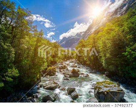Rocky river landscape in rainforest, New Zealand Rocky river landscape in rainforest, New Zealand 37492377