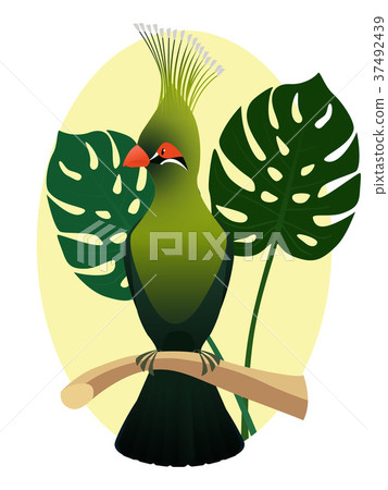 Colorful parrot on a branch, side profile Colorful parrot on a branch, side profile 37492439