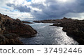 Rock sea 37492446