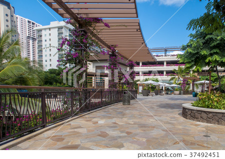 國際市場的屋頂 37492451