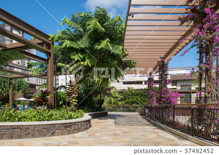 The rooftop of the International Marketplace The rooftop of the International Marketplace 37492452