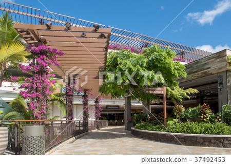 國際市場的屋頂 37492453