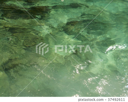 泰國的海表面 37492611