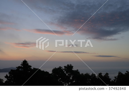 Izu sunrise scenery photo material 37492848