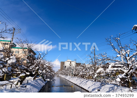 雪景 雪景 37493299