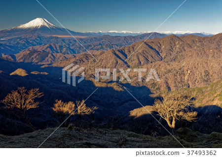 View of Mt. Fuji and Southern Alps from Tanzawa and Tonotake View of Mt. Fuji and Southern Alps from Tanzawa and Tonotake 37493362