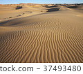 Merzouga Sahara Desert 37493480
