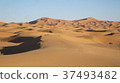 Merzouga Sahara Desert 37493482