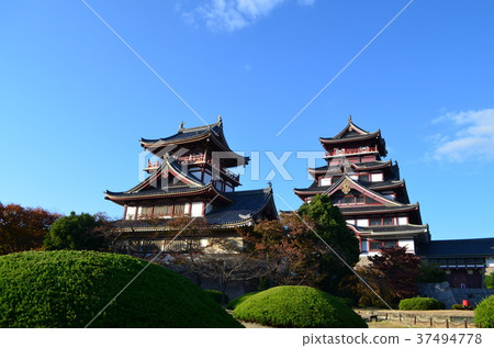 [京都府]伏見桃山城，城堡塔 37494778