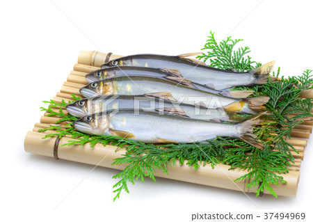 Natural ayu 37494969