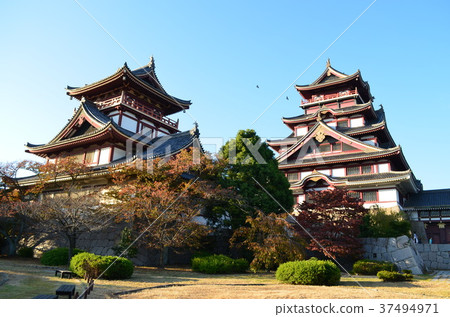 [京都府]伏見桃山城，城堡塔 37494971