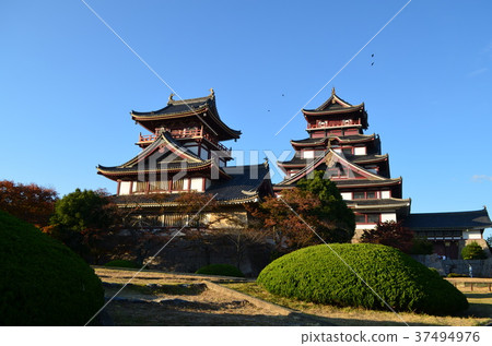 [京都府]伏見桃山城，城堡塔 37494976