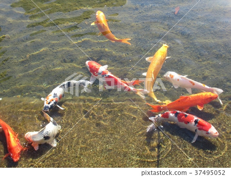 Ax near the water surface 37495052