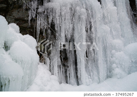 Large icicles of Kawararayani Togagataki Umi-cho, Fukuoka Prefecture 37495267