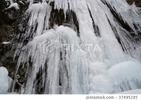 Large icicles of Kawararayani Togagataki Umi-cho, Fukuoka Prefecture 37495285