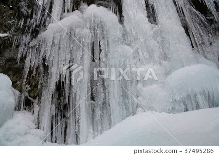 Large icicles of Kawararayani Togagataki Umi-cho, Fukuoka Prefecture Large icicles of Kawararayani Togagataki Umi-cho, Fukuoka Prefecture 37495286