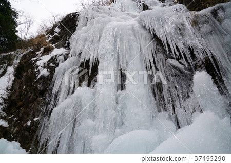 Large icicles of Kawararayani Togagataki Umi-cho, Fukuoka Prefecture Large icicles of Kawararayani Togagataki Umi-cho, Fukuoka Prefecture 37495290