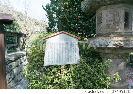 Jogan-ji寺的Shichikendo（神奈川縣Yukawaramachi） 37495398