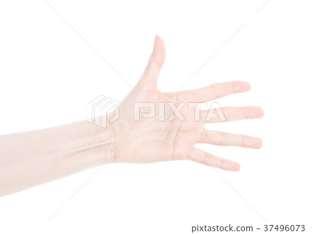 Female hand isolated on white background Female hand isolated on white background 37496073