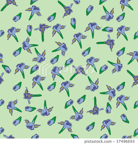 Blueflag iris hand drawn pattern on green Blueflag iris hand drawn pattern on green 37496693