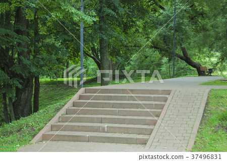 Gray concrete staircase in the park. Gray concrete staircase in the park. 37496831