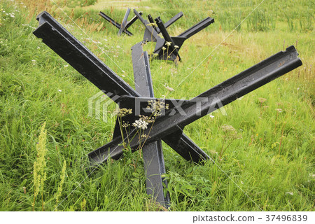 On the green grass, black anti-tank  37496839