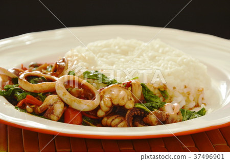 spicy stir fried squid and basil leaf on rice  37496901