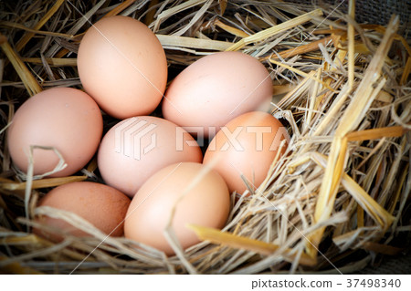Group of raw eggs 37498340