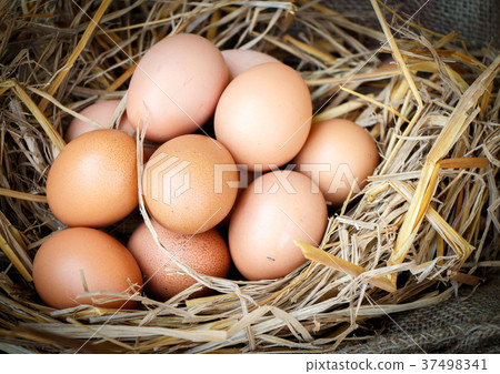 Group of raw eggs 37498341