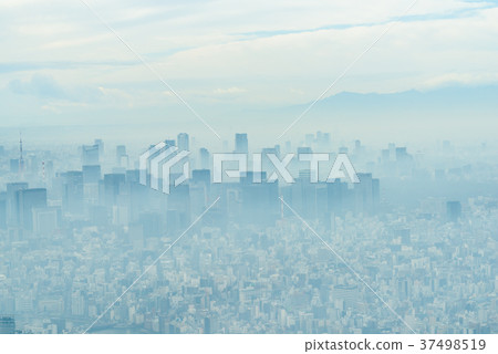 東京裹著莫亞 37498519