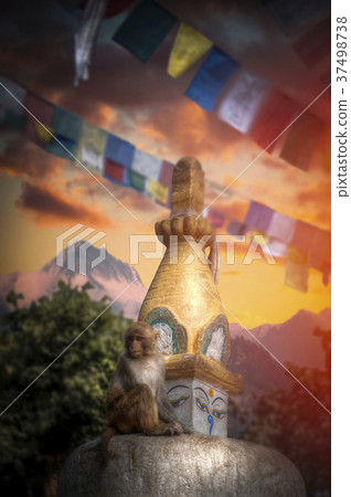 Monkeys in Pashupatinath Monkeys in Pashupatinath 37498738