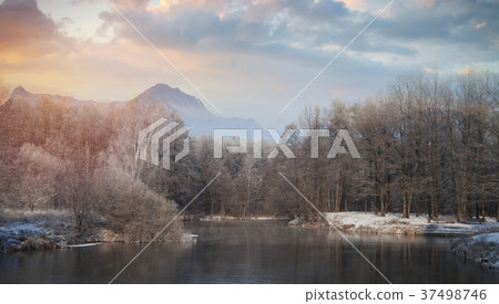 Forest in the background of mountains 37498746