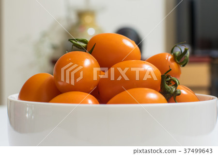 小船，藤，房子，材料 37499643