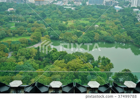 View of Lumpini Park in Bangkok, Thailand, viewed from the rooftop bar View of Lumpini Park in Bangkok, Thailand, viewed from the rooftop bar 37499788