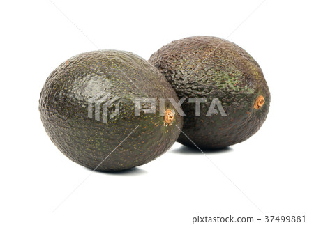 Two avocado Hass Two avocado Hass 37499881