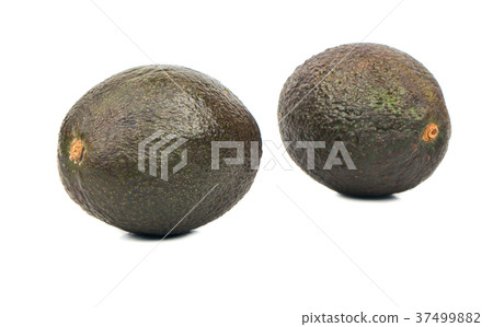 Two avocado Hass 37499882