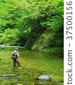 Fresh green angler 37500156