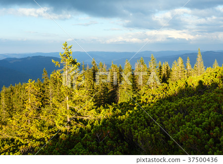 Summer Carpathian mountain, Ukraine Summer Carpathian mountain, Ukraine 37500436