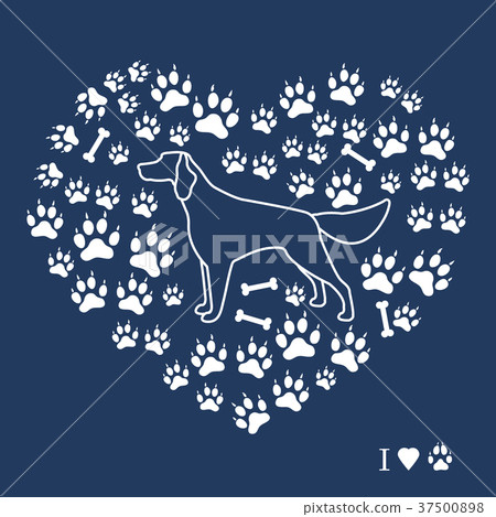 Setter silhouette on background of dog tracks and Setter silhouette on background of dog tracks and 37500898