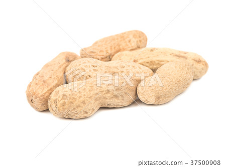 Peanuts in shell Peanuts in shell 37500908