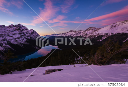 Sunset at Peyto Lake in the Rockies Sunset at Peyto Lake in the Rockies 37502084