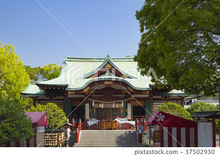 龜戶天神神社 37502930