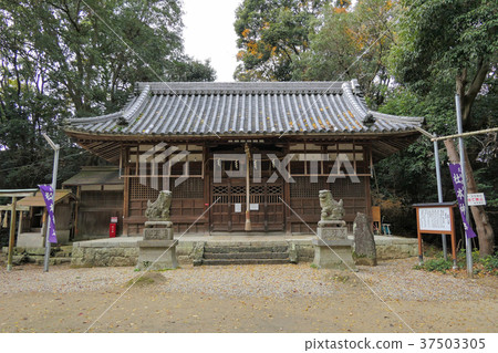 [森本神社]大阪府哈比野野市駒谷64 37503305