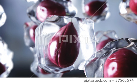 Plums in ice cubes. Food and broadcast concept 37503574