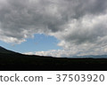 Sky  37503920