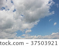 Sky  37503921
