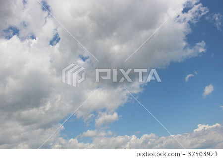 Sky  Sky  37503921